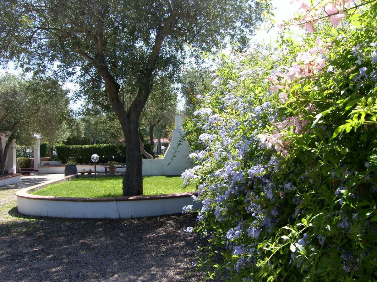 Villa Sarda Sorso Exterior foto